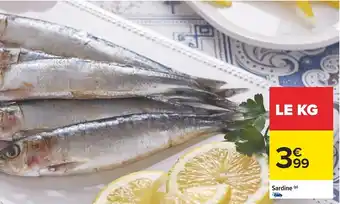 Carrefour Sardine offre