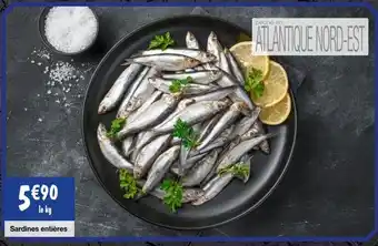 Sardines