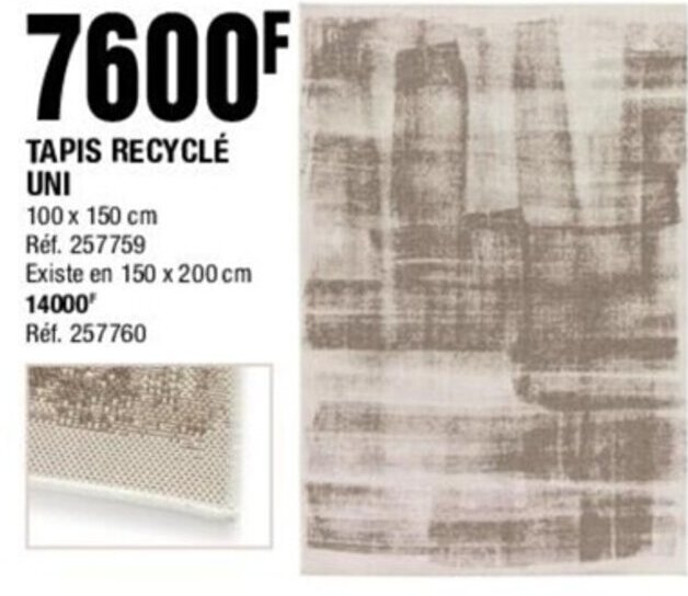 La Foir'Fouille TAPIS RECYCLÉ UNI offre