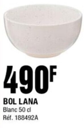 La Foir'Fouille BOL LANA offre