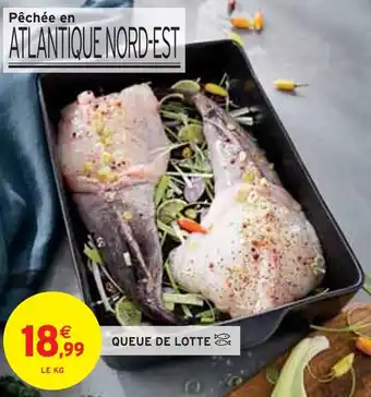 Queue de lotte