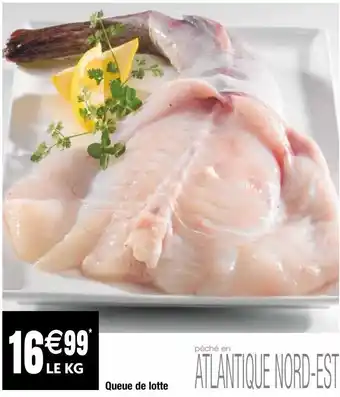 Queues de lotte