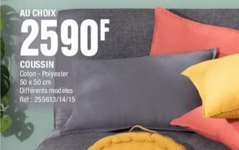 La Foir'Fouille Coussins offre