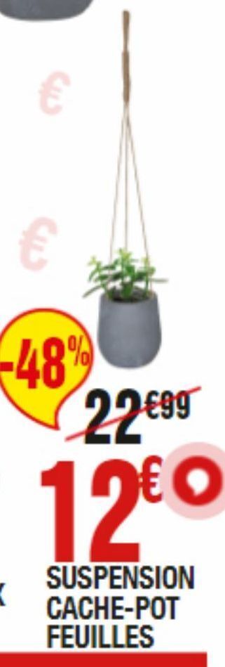 La Foir'Fouille Suspension cahe-pot feuilles offre