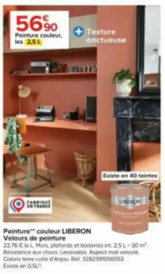 Castorama Peinture couleur LIBERON Velours de peinture offre