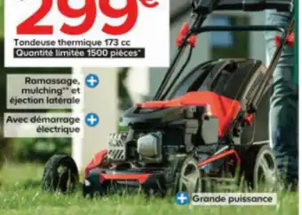 Castorama Tondeuse thermique 173 cc Quantité limitée 1500 pièces offre