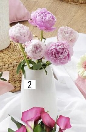 Géant Casino 2 Bouquet 5 pivoines offre