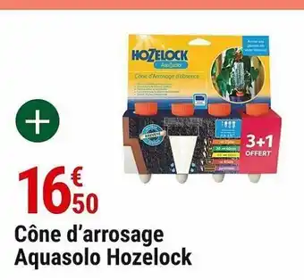 Cone d'arrosage aquasolo hozelock