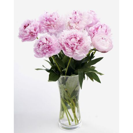 Auchan Supermarché Bouquet de 5 pivoines(1) offre