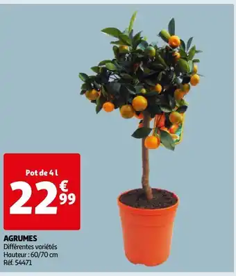 Auchan Agrumes offre