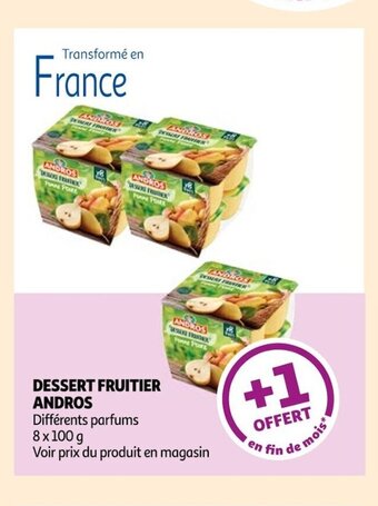 DESSERT FRUITIER ANDROS