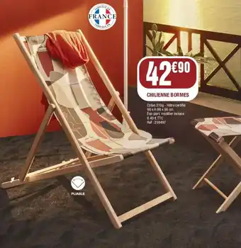 La Foir'Fouille CHILIENNE BORMES offre