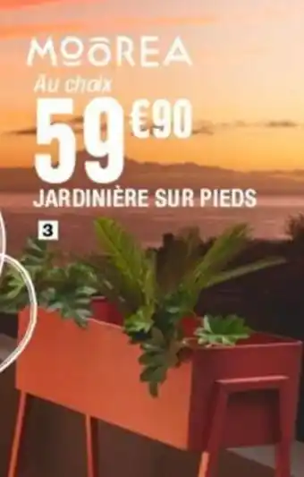 La Foir'Fouille JARDINIÈRE SUR PIEDS offre