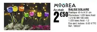 La Foir'Fouille BALISE SOLAIRE offre