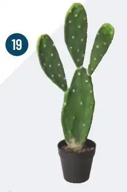 Bricorama Cactus artificiel en pot offre