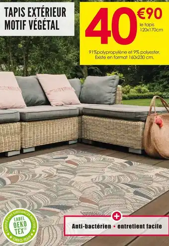 Décor Discount Tapis extérieur motif végétal offre