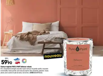 Pure & paint peinture végétale bellecour velouté