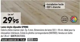 Lame vinyle clipsable spring