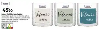 Bricorama Nuance peinture velours le beige troublant offre