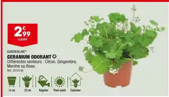 ALDI Geranium odorant offre