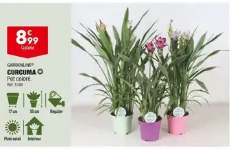 Gardenline curcuma