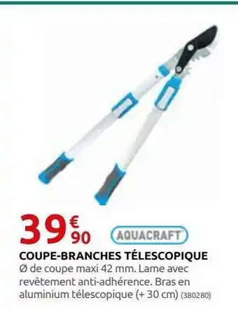 Rural Master Coupe-branche télescopique offre