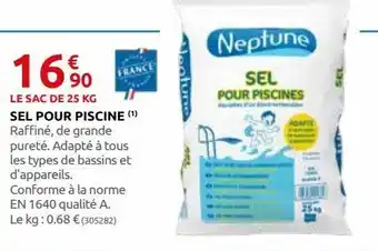 Rural Master Sel pour piscine offre