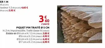 Rural Master Piquet pin traité 5 cm offre