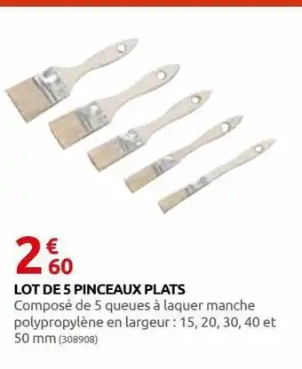 Rural Master Lot de 5 pinceaux plats offre