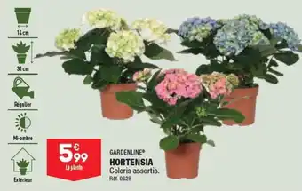 ALDI HORTENSIA offre