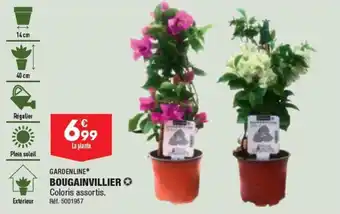 ALDI BOUGAINVILLIER offre