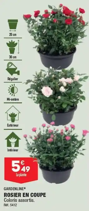 ALDI ROSIER EN COUPE offre