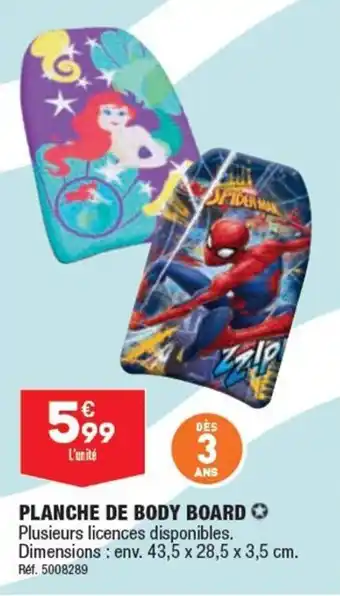 ALDI PLANCHE DE BODY BOARD offre