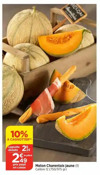 Bi1 Melon Charentais jaune (V) offre