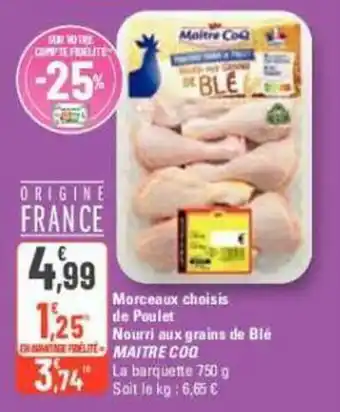 G20 Morceaux choisis de Poulet Nourri aux grains de Blé DANTAGE FRELITE MAITRE COO offre
