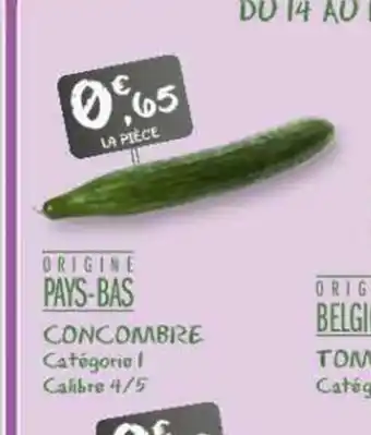 G20 CONCOMBRE offre