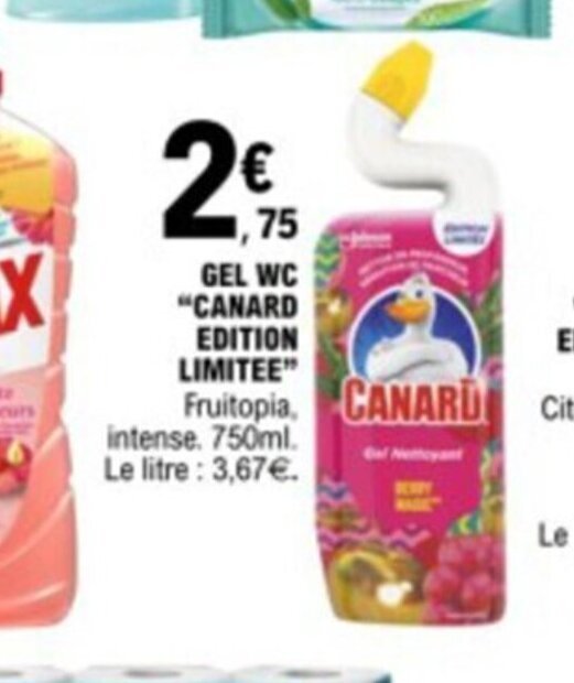 E.Leclerc GEL WC "CANARD EDITION offre