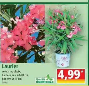 Norma Plantes offre