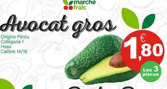 Avocat gros