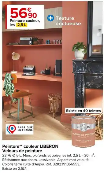Castorama Libéron peinture couleur liberon velours de peinture* offre