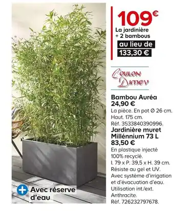 Castorama Bambou auréa + jardinière muret millénnium 73 l offre