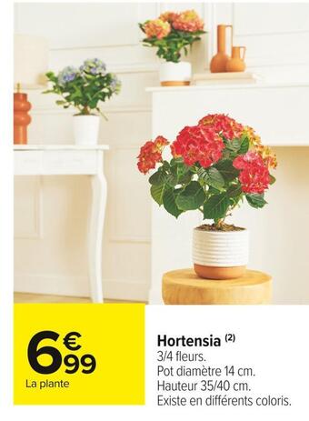 Carrefour Market Hortensia offre