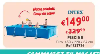 Trafic PISCINE Dim. 450 x 220 x 84 cm. Ref 923736 offre