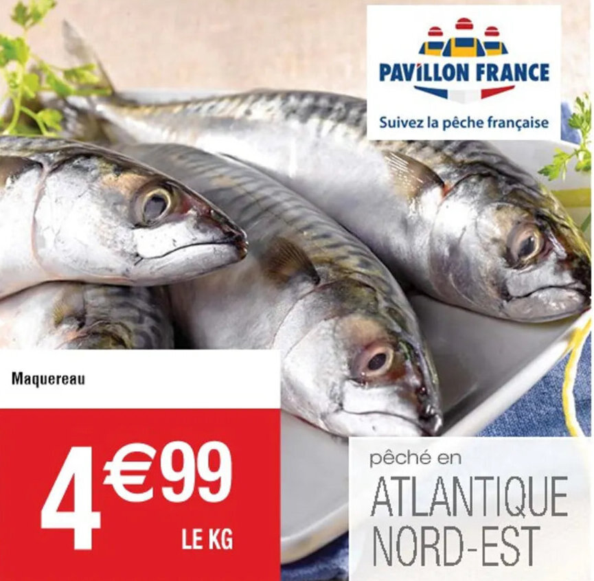 Cora Maquereau offre