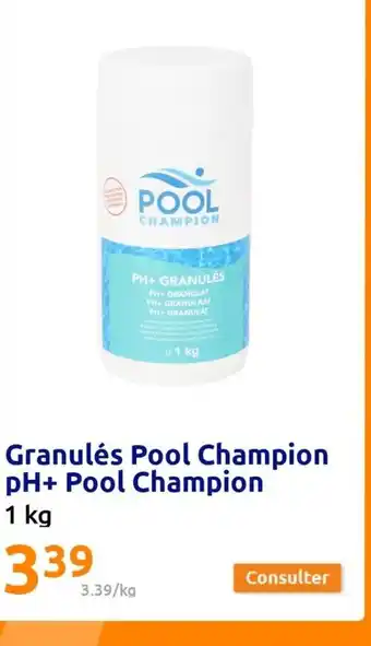 Action Granulés Pool Champion pH+ Pool Champion 1 kg offre