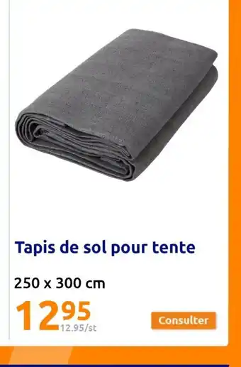 Action Tapis de sol pour tente offre