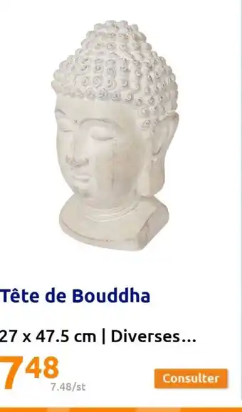 Action Tête de Bouddha offre