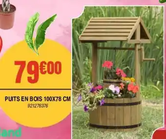 Jardiland Puits en bois 100x78cm offre