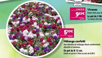 Point Vert Mélange confetti offre