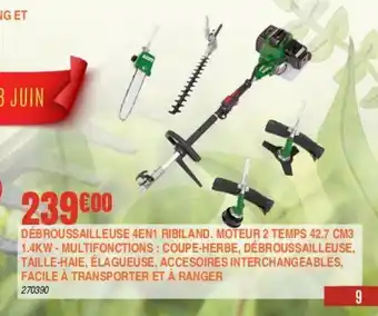 Débroussailleuse 4en1 ribiland, moteur 2 temps